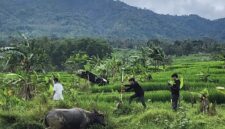 Objek tanah milik Bambang S di Desa Sukamulya, Kecamatan Sukamakmur, Kabupaten Bogor. 