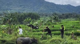 Objek tanah milik Bambang S di Desa Sukamulya, Kecamatan Sukamakmur, Kabupaten Bogor. 