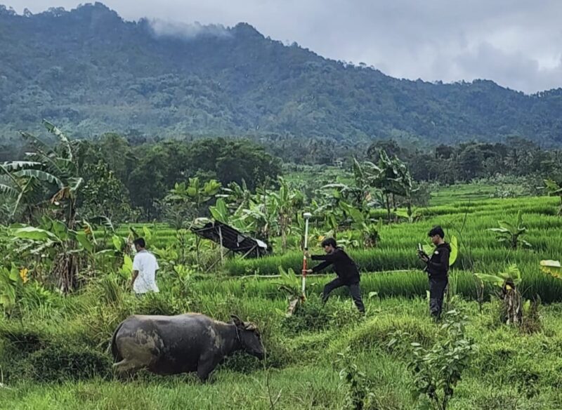 Objek tanah milik Bambang S di Desa Sukamulya, Kecamatan Sukamakmur, Kabupaten Bogor. 